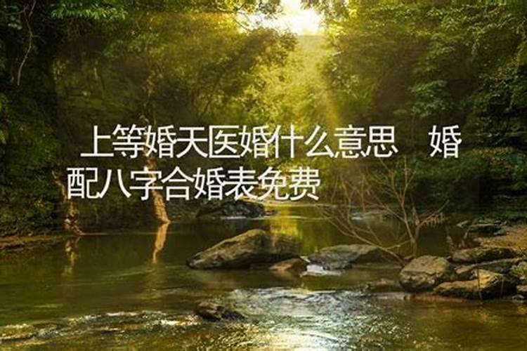 天医婚配详解,婚配八字:
