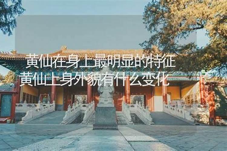 化解犯太岁的方法