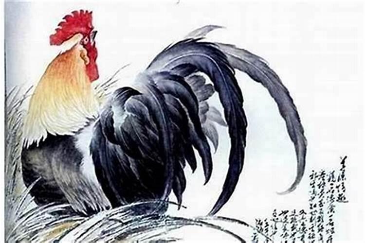 鸡和龙属相合不合如何化解,属相相克如何化解