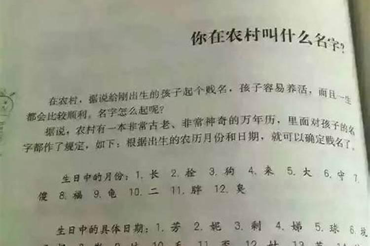 女孩子姓陈取名字大全属龙