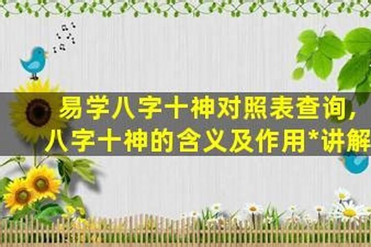 八字十神详解与应用大全