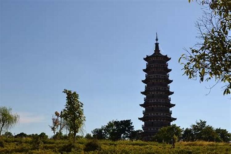 有助于学业的风水植物摆放禁忌
