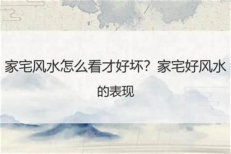 梦见男朋友以前的女友的预兆