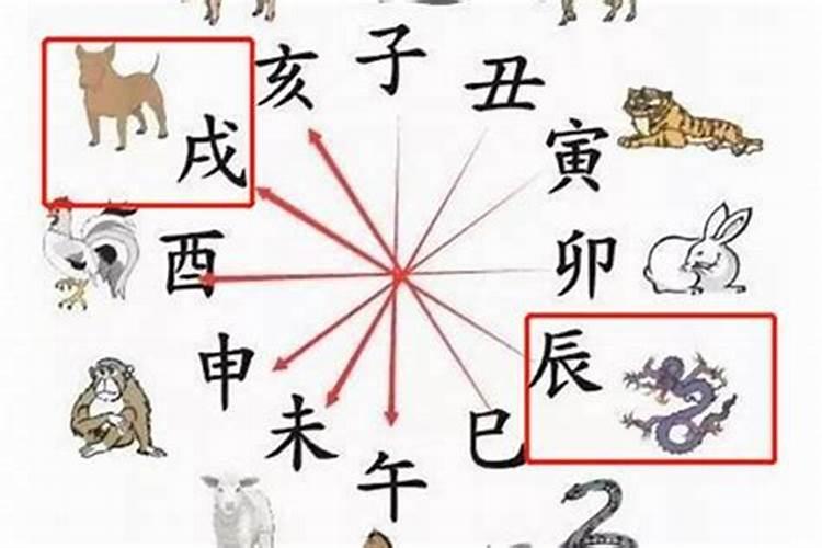 属蛇爸爸和虎宝宝八字合不合 蛇与虎天生不合？