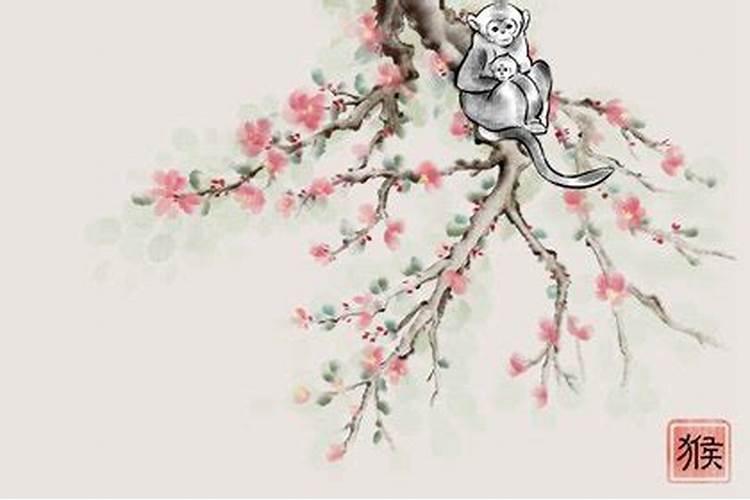 属兔之人与属猴之人八字合吗