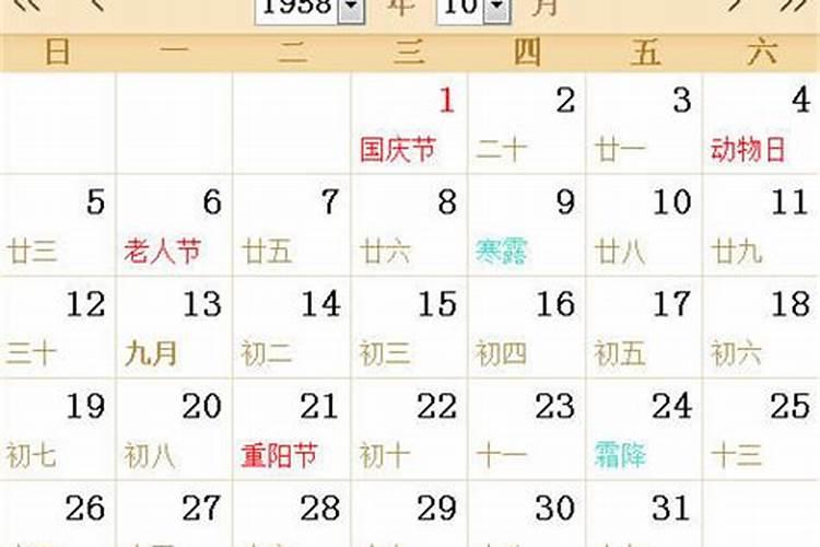 农历19958年1月5日是阳历什么时间