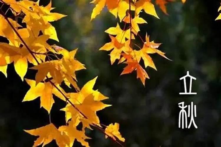 立秋有什么讲究吗