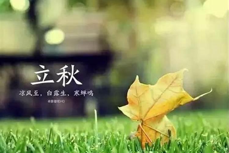 立秋这一天吃什么饭最有讲究