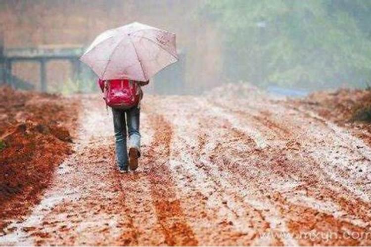 梦见下大雨不好走