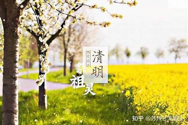 犯太岁没有躲春怎么化解