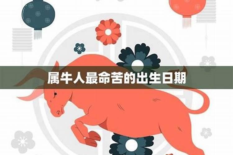 属牛最命苦阴历出生月份,几月属牛的人命运好