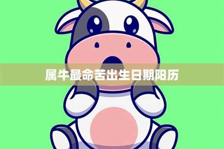 属牛蕞命苦出生日期
