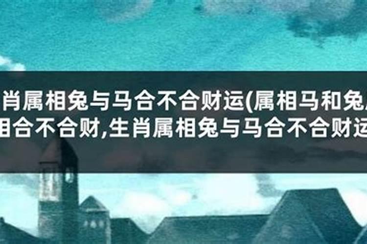 属兔子的和属马的八字合不合