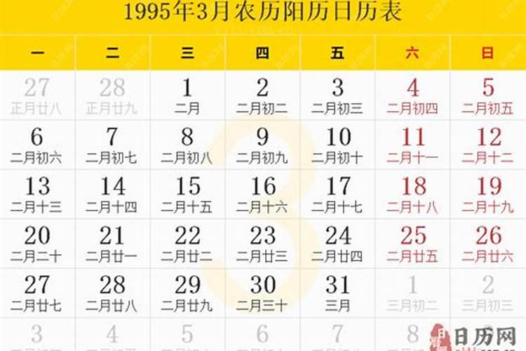 1995年属猪人一生运势如何,95年属猪的一生运势