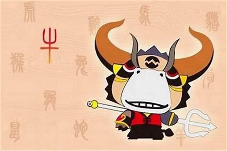 属马的人一生命运如何
