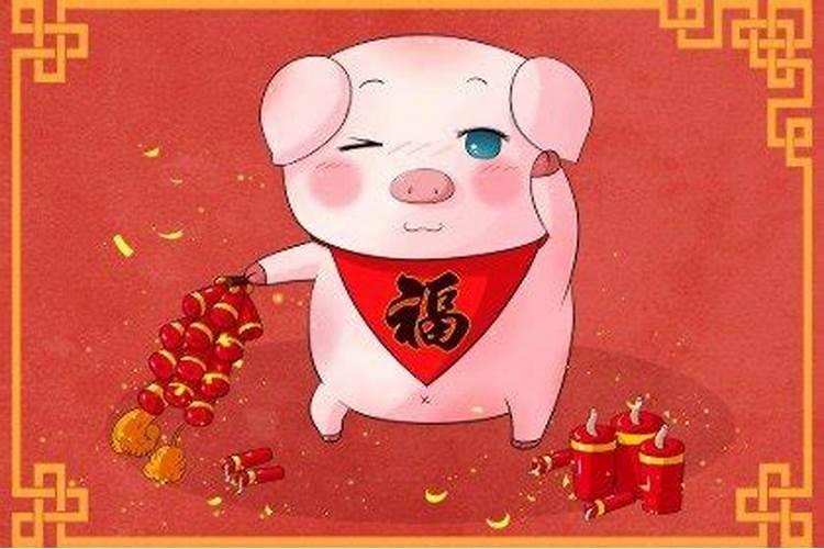 属猪人一生的命运如何