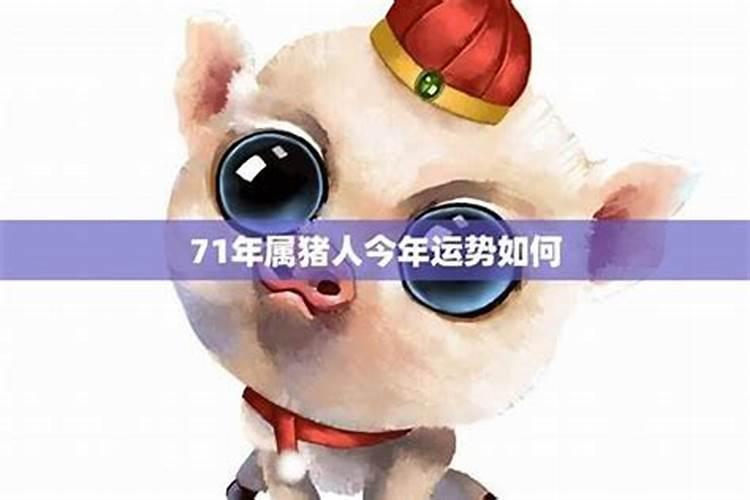 1971年的猪女未来五年的运程71年属猪人命理？