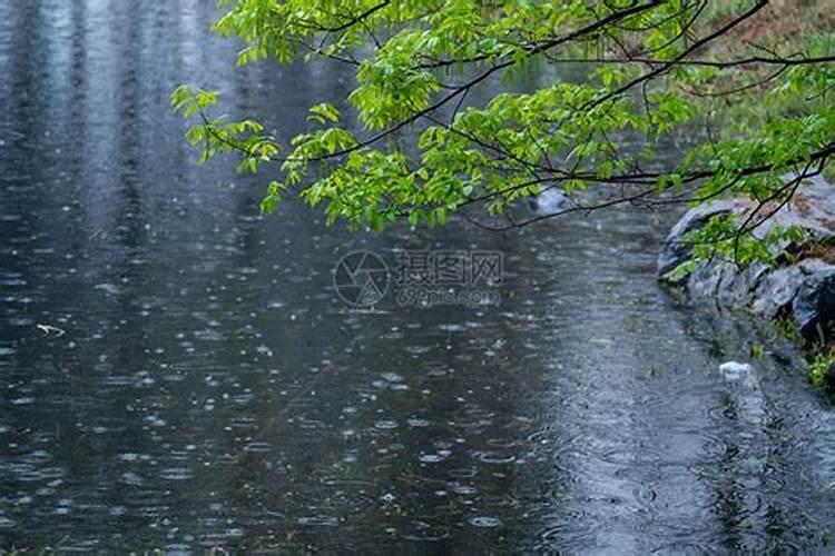 清明下雨预示着什么