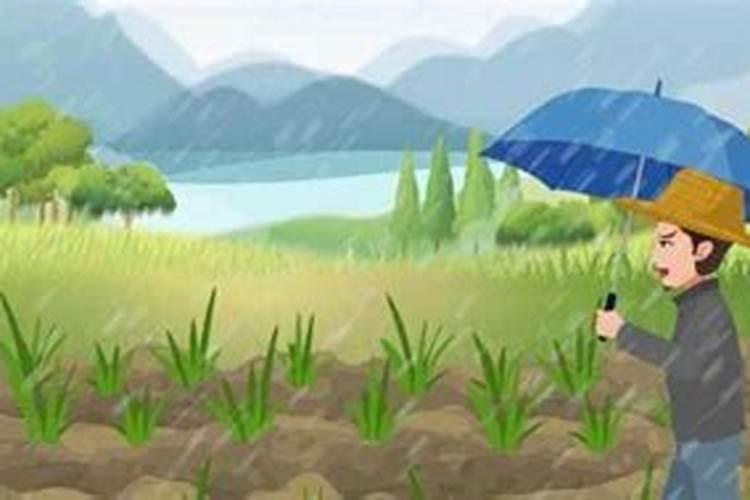 清明节下雨是什么预兆