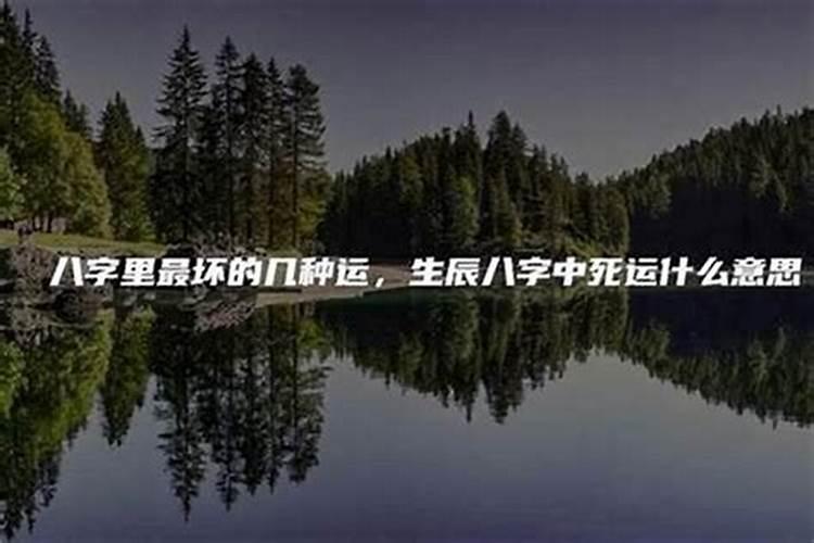 属马人2025年全年运势运程