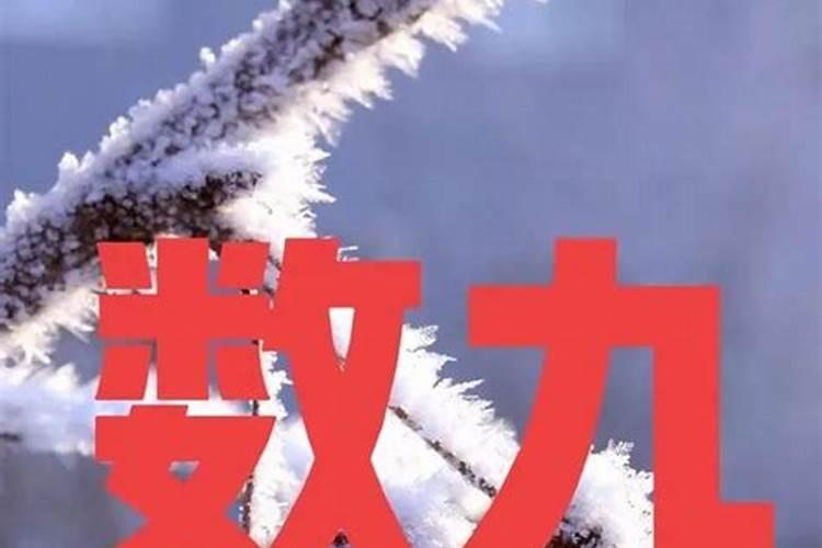 冬至是几号2024年