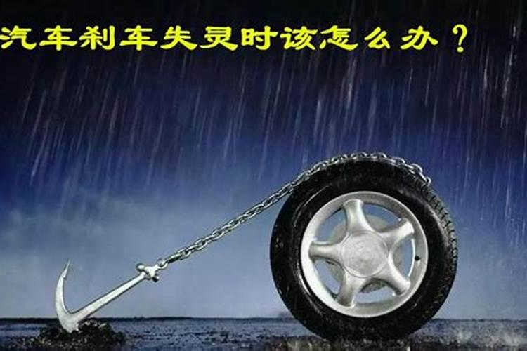 2025年搬家最好的属相