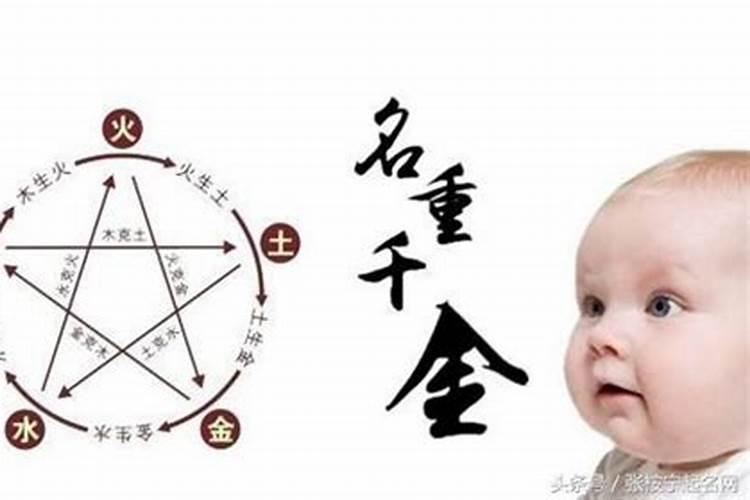 生辰八字取名:属狗子时出生的女孩起名方法和禁忌
