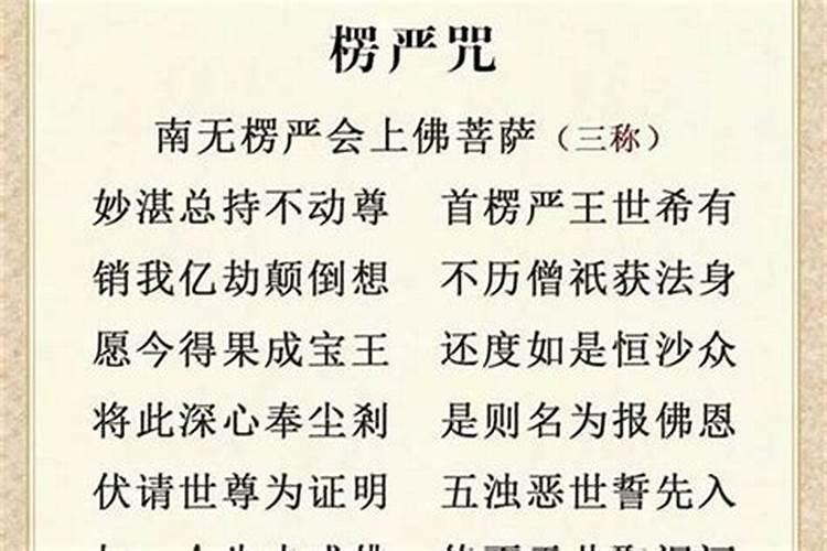 属马人2025年全年运势运程