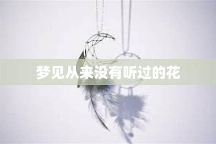 正月十五是过完年了吗