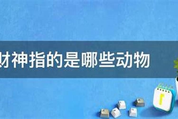 我是1984年10月17日阳历生日,帮忙算一卦