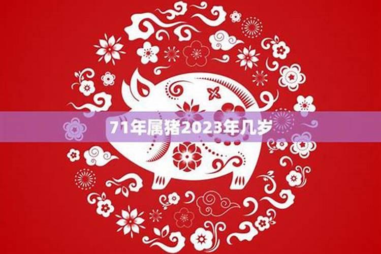 71年属猪48岁命运,运势怎样