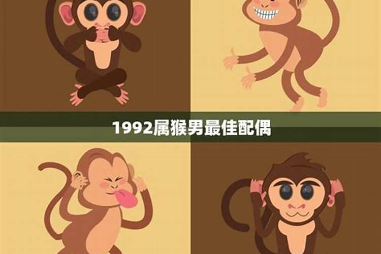 猴配什么属相最好