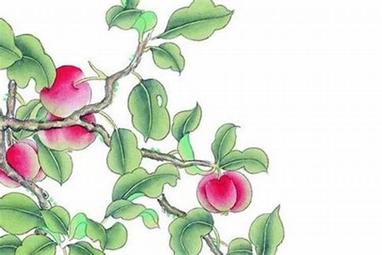72年鼠婚配啥属相的合适,鼠1972年二月十四日出生女和什么属相婚配比百 ...