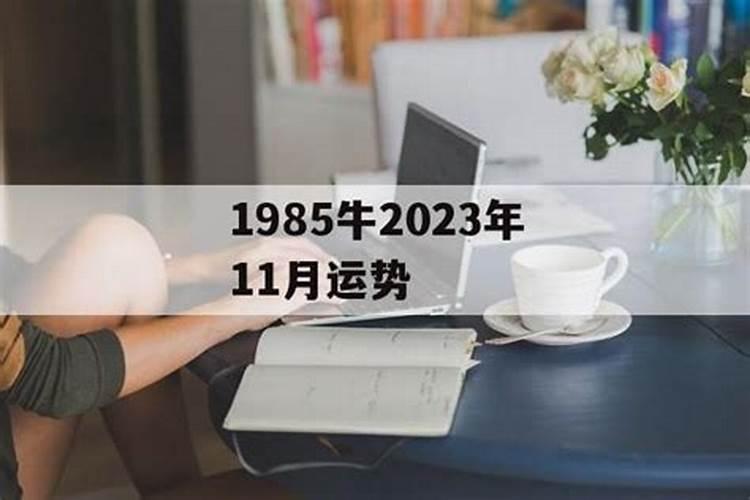 1985年11月10日出生的人的运程如何？