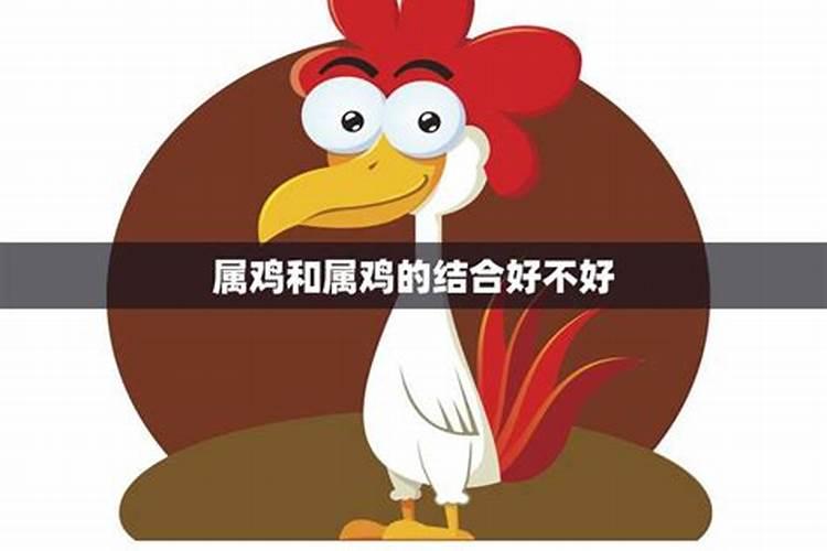 男女双方都属鸡可以婚配吗,男方女方都属鸡这个婚配给好