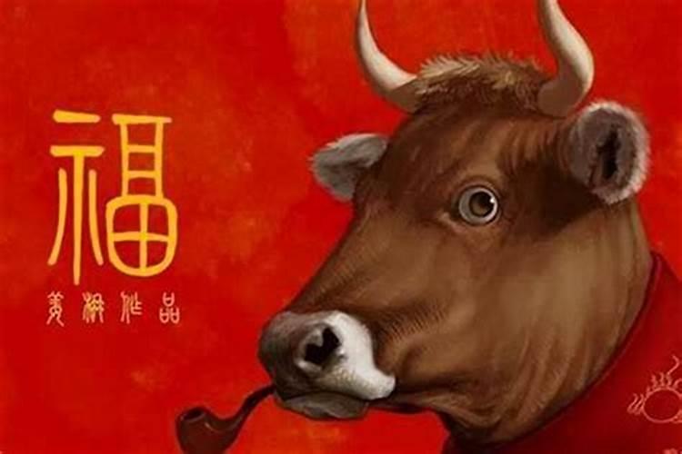82年属狗的更佳配偶属相,1982年属狗一生劫难