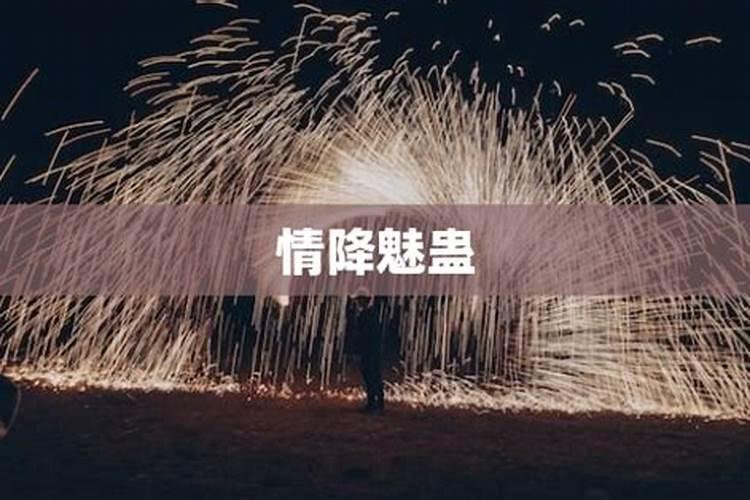 你们说了半天,到底在哪里可以买到无量子的情蛊