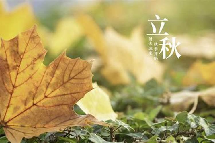 秋分的习俗
