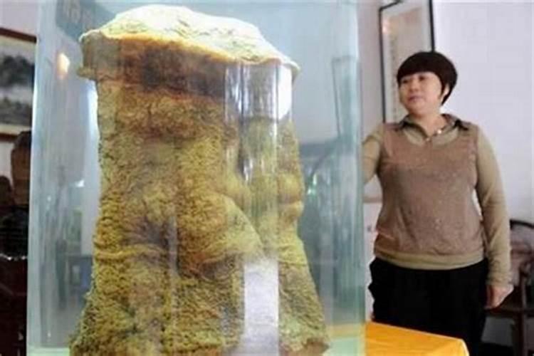 太岁是什么东西