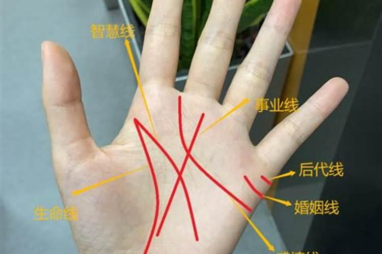 女人看手相30岁以后看哪个手 看左手吗？
