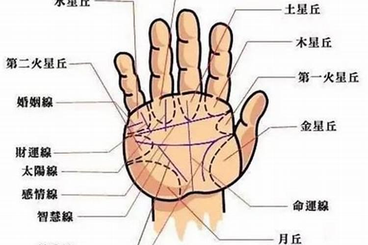 手相30岁以上看右手吗 左右手代表意思不同？