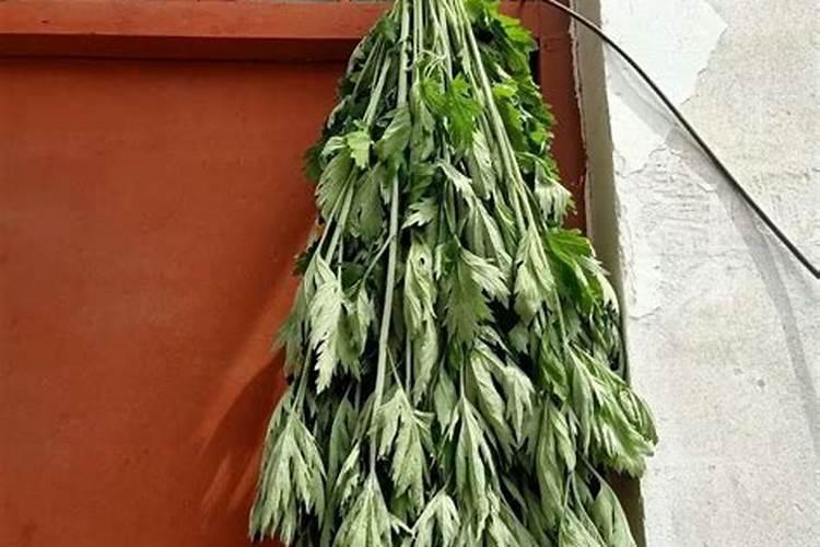 夏至和冬至的日照时间相差多少