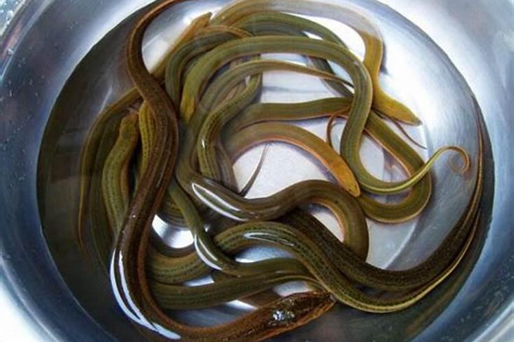 属牛女本命年能不能出嫁 对象属马最好