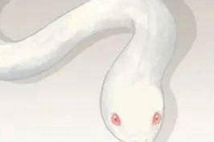 女人梦见蛇是怀孕了吗