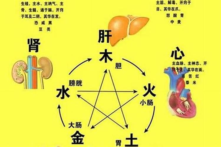 1985年农历正月初五早晨出生的男孩性格命运