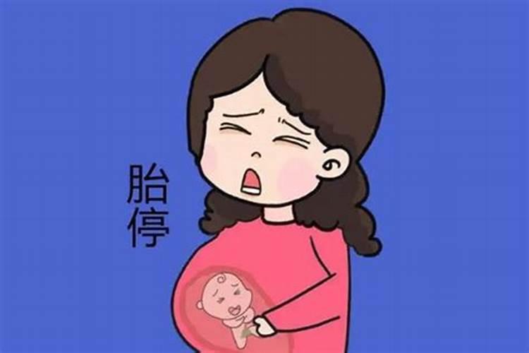 梦到胎停是怎么回事 梦到胎停的寓意