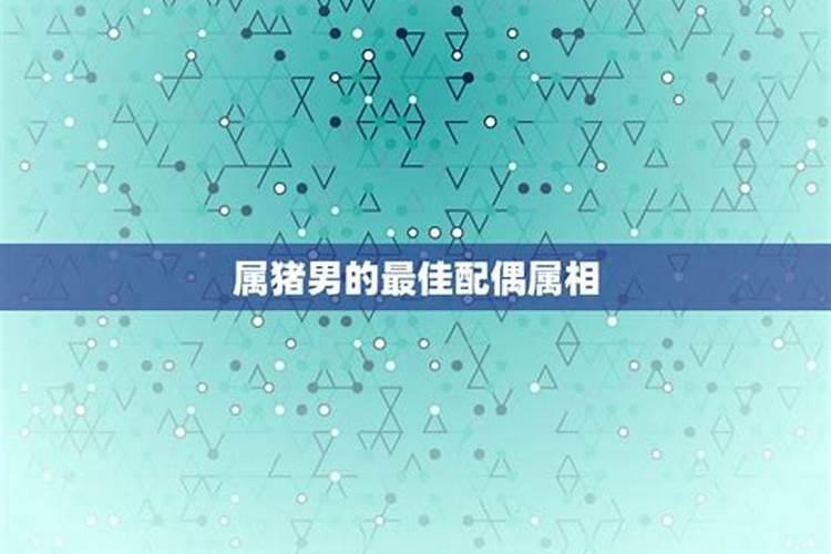 属猪的和什么属相比较配？