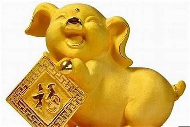 属猪腊月出生是什么命