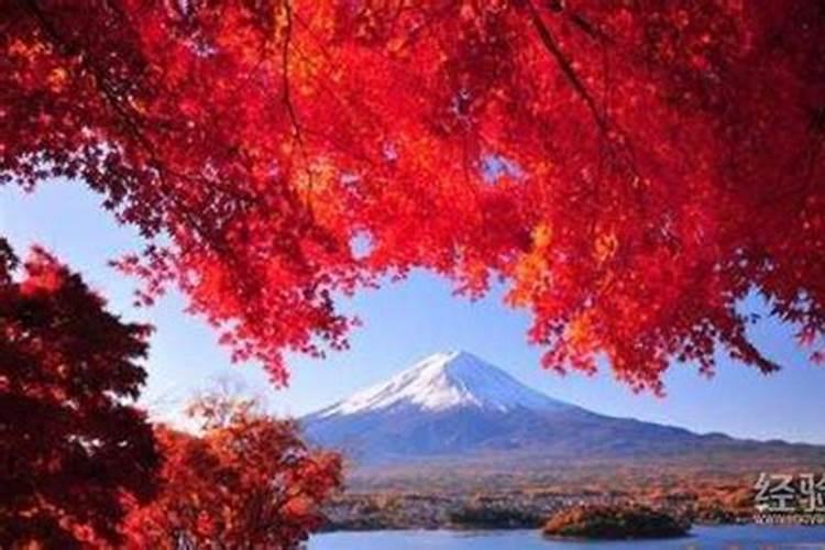 郭璞被称为东晋最牛的风水大师,他究竟有多牛？