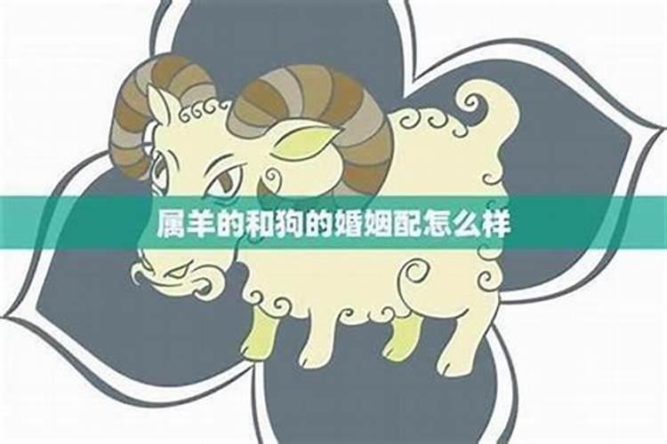 1974年虎男2025年运势及运程